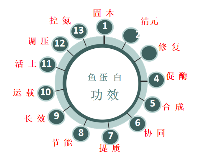 特种肥料,体育外围app官网,水溶肥,鱼蛋白