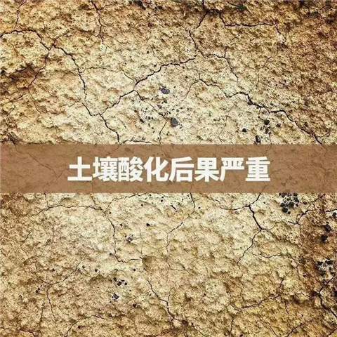 微生物菌剂,体育外围app官网,翠姆