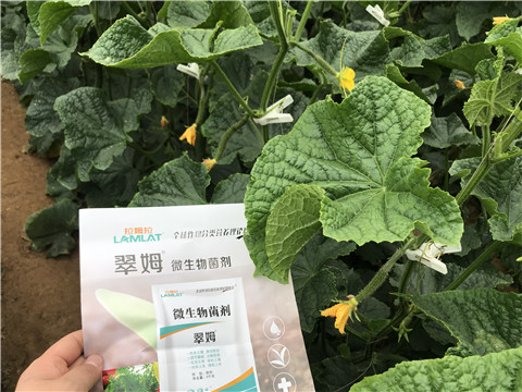 微生物菌剂，水溶肥，体育外围app官网