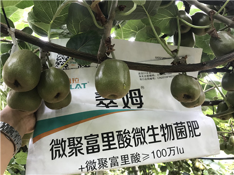 微生物菌剂，翠姆，体育外围app官网