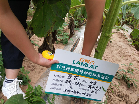 土壤重茬,体育外围app官网,微生物菌剂