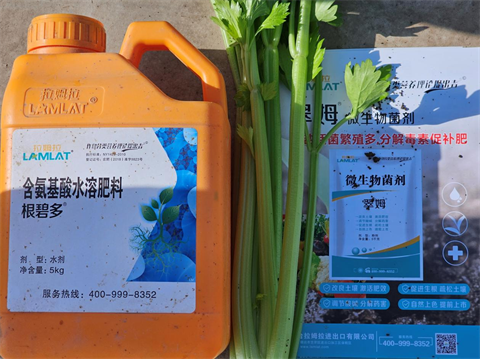 水溶肥厂家,芹菜种植,体育外围app官网